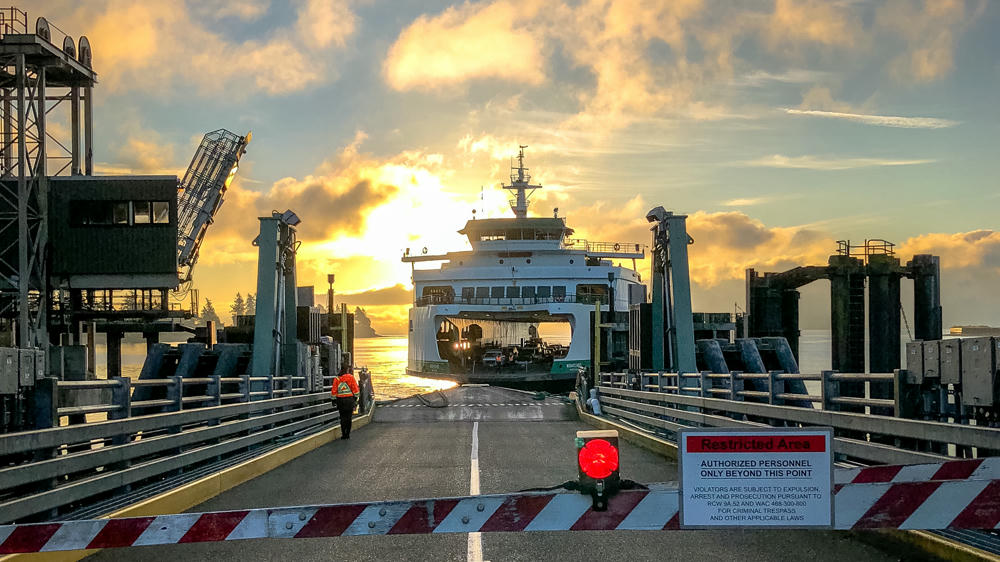 Morning Arrival