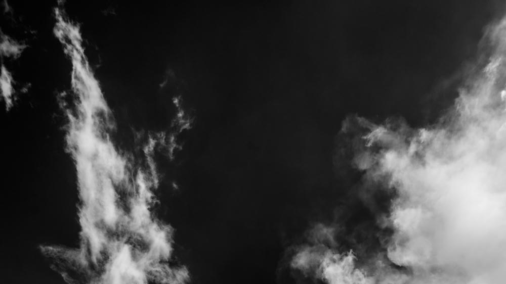 The Whole Catastrophe