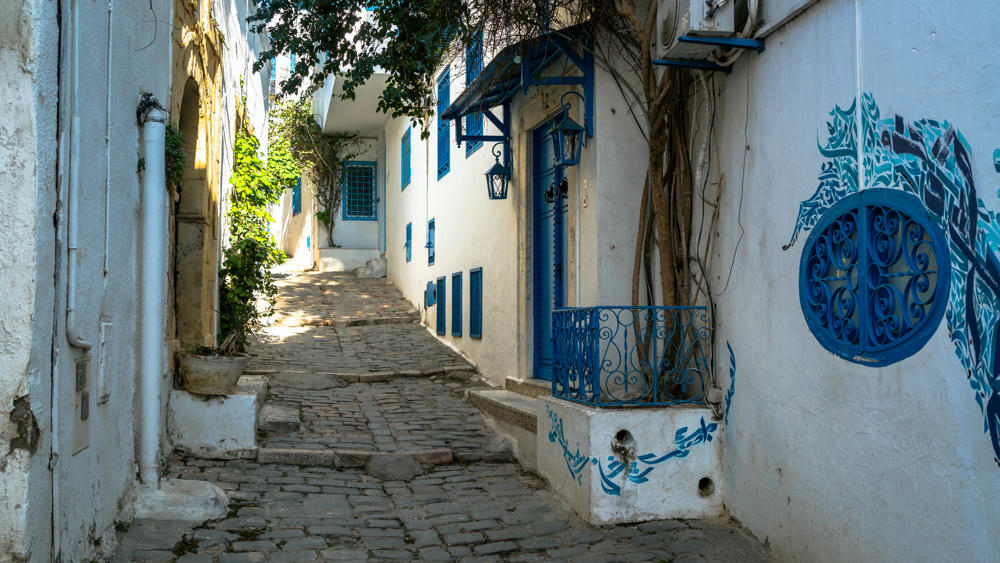 Spring Break Day 7: Sidi Bou Said