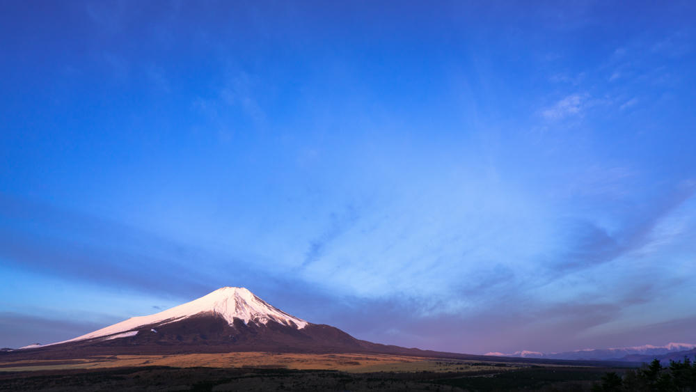 Spring Break Day 14: Mount Fuji to Tokyo