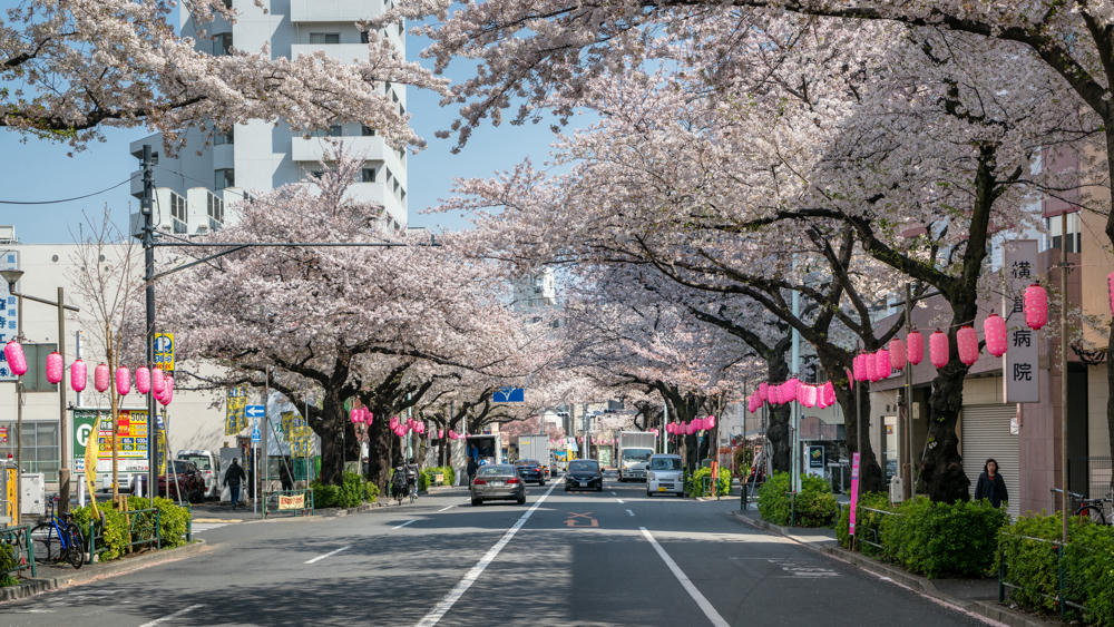Spring Break Day 15: Tokyo