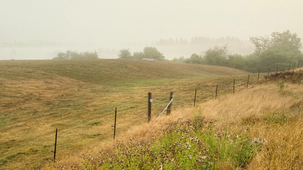 Smoke? Or Fog?