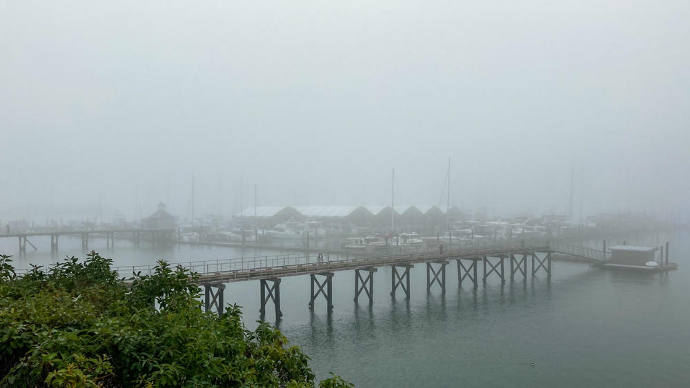 Fog at the Marina