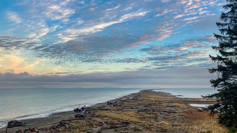 Dungeness Spit