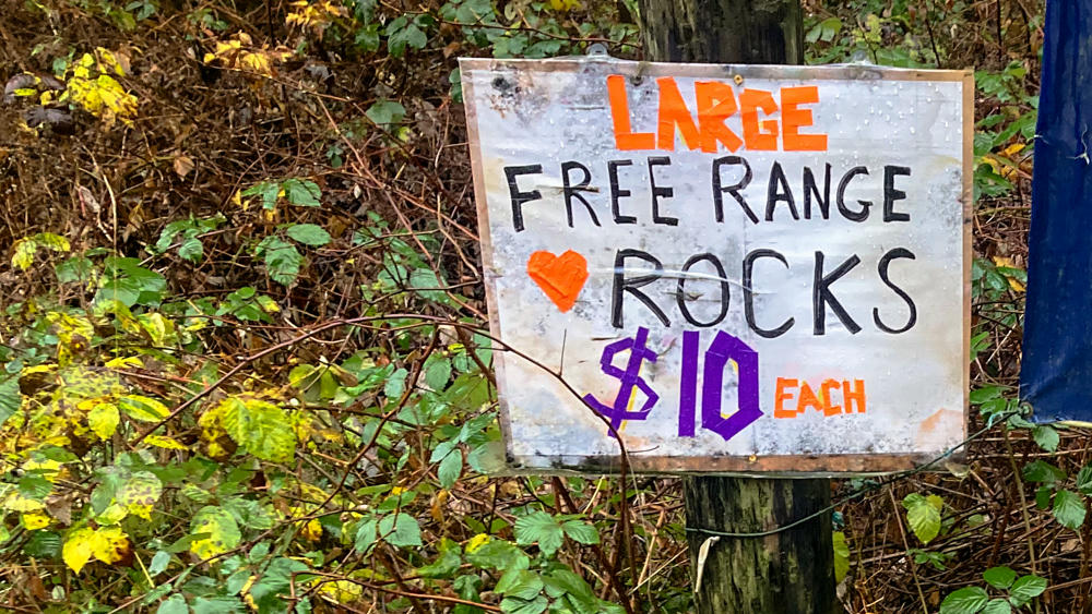 Large Free Range Rocks