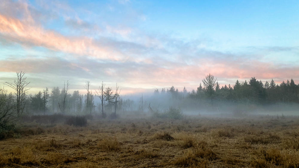 Morning Fog at Carpenter Lake