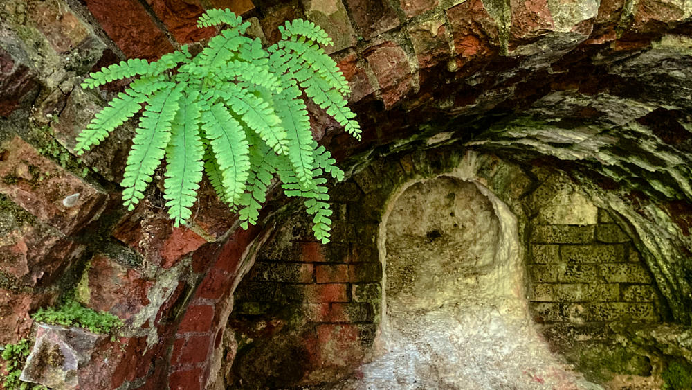 Lime Kiln Trail