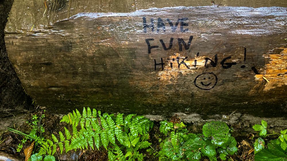 Have Fun Hiking!