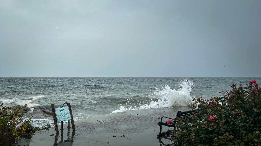 Rough Seas
