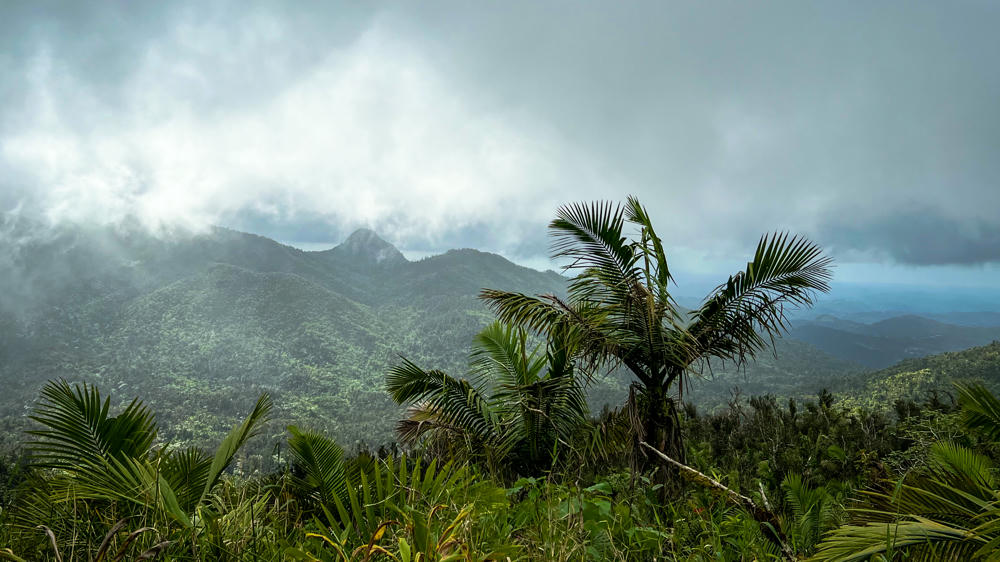 Puerto Rico Day 5: El Yunque National Forest