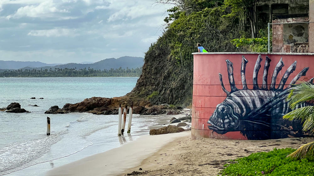 Puerto Rico Day 6: Guayama and Húcares