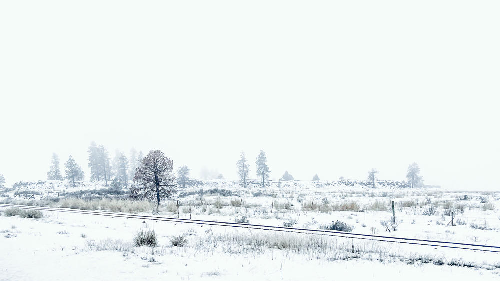 An Eastern Washington Roadtrip