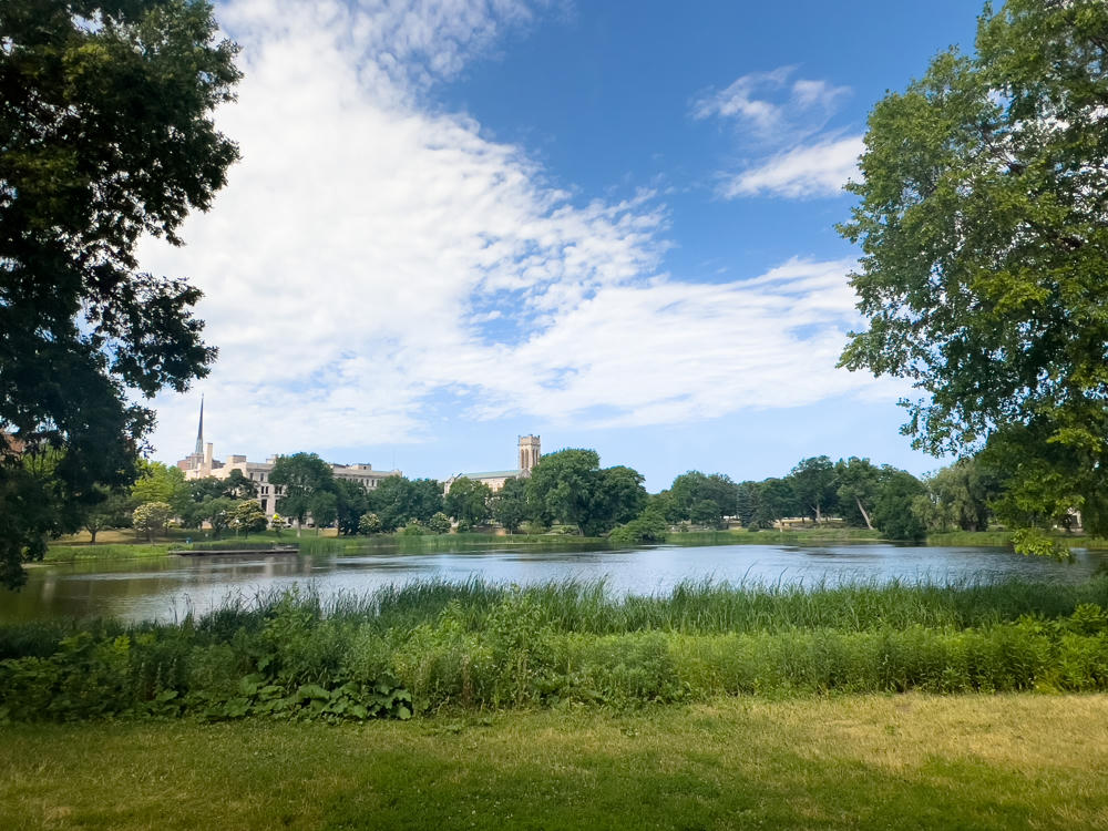 A calm pond at Loring Park framed by lush green trees and grasses, with a mowed lawn in the foreground and a church spire, tower, and stone buildings rising above the treeline under a bright blue sky with scattered white clouds.