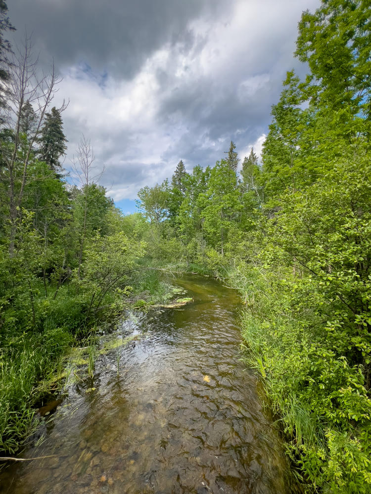 A narrow, shallow stream winding through dense green woodland, its clear water revealing a rocky, gravelly bottom, flanked by lush shrubs, grasses, and tall evergreen and deciduous trees under a dramatic sky of heavy gray clouds with patches of blue.