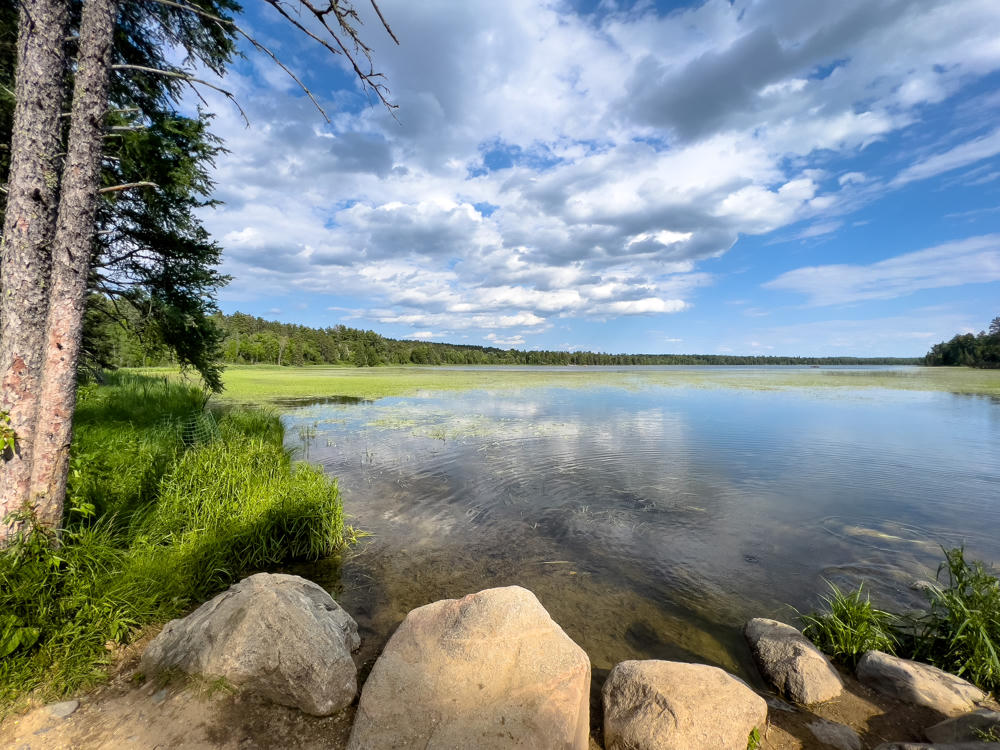 A calm, shallow lake fringed by grassy marsh and dense green forest under a bright blue sky filled with puffy white clouds, with large boulders and pine trees in the foreground shoreline at the Mississippi Headwaters in Itasca State Park.