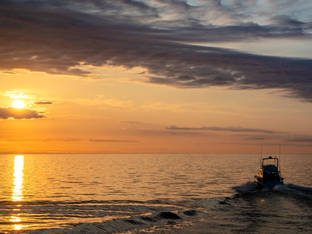 A silhouetted fishing boat leaves a trailing wake as it heads out across calm open water toward a golden sunrise, the low sun casting a bright reflection over the ripples beneath a sky streaked with orange and gray clouds.