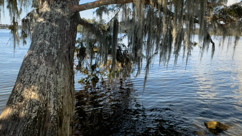 Louisiana and Mississippi Day 9: And Scene …