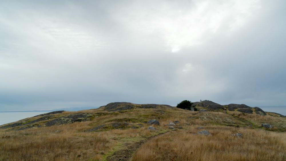 San Juan Islands Day 2: Iceberg Point