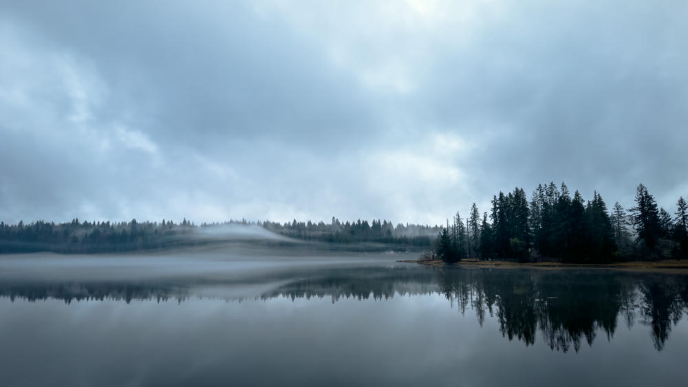 Shelton Bay Fog