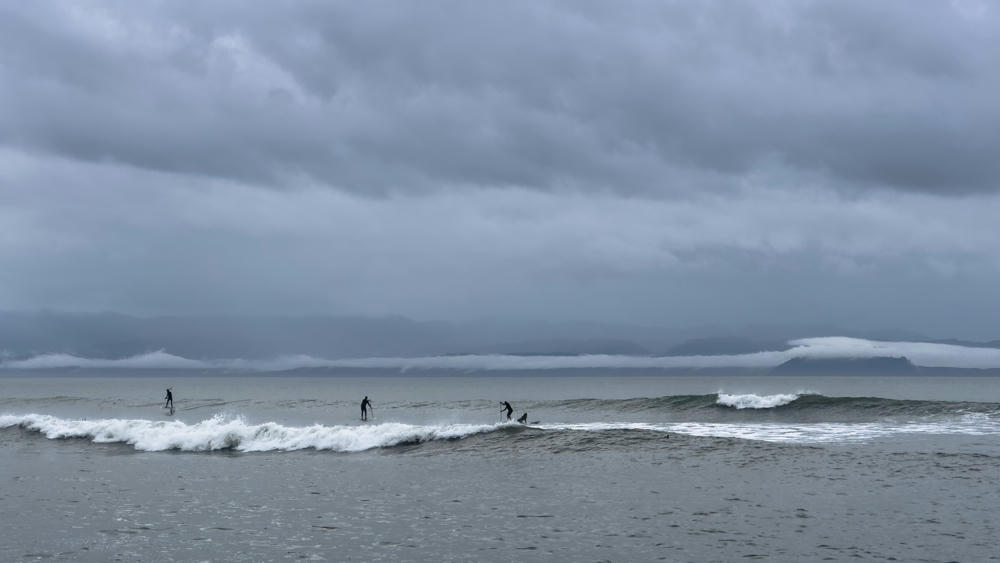 Vancouver Island Day 2: Pacific Marine Circle Route