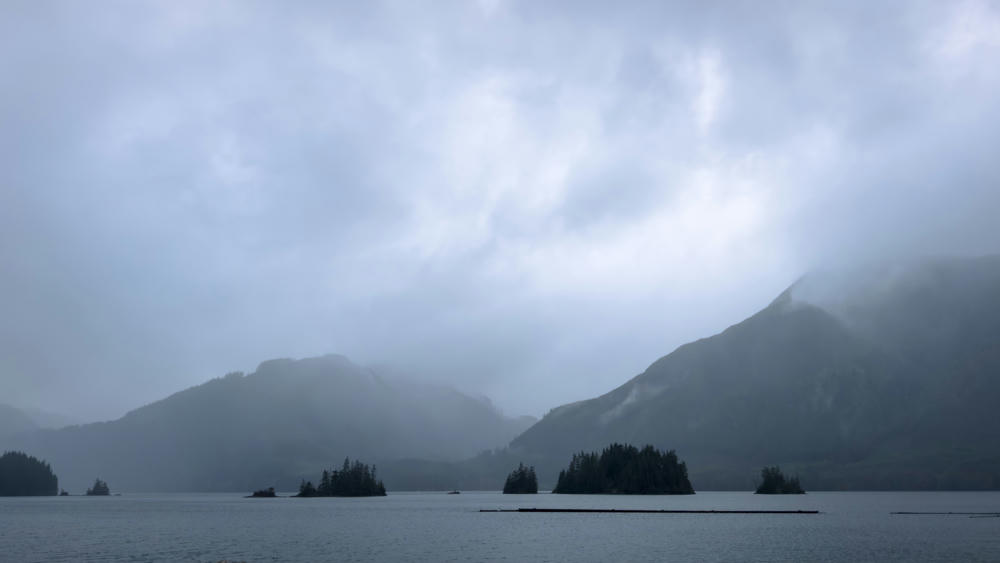 Vancouver Island Day 4: Port Alice