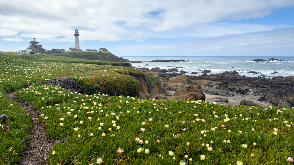 California Part 1: Half Moon Bay and Pigeon Point