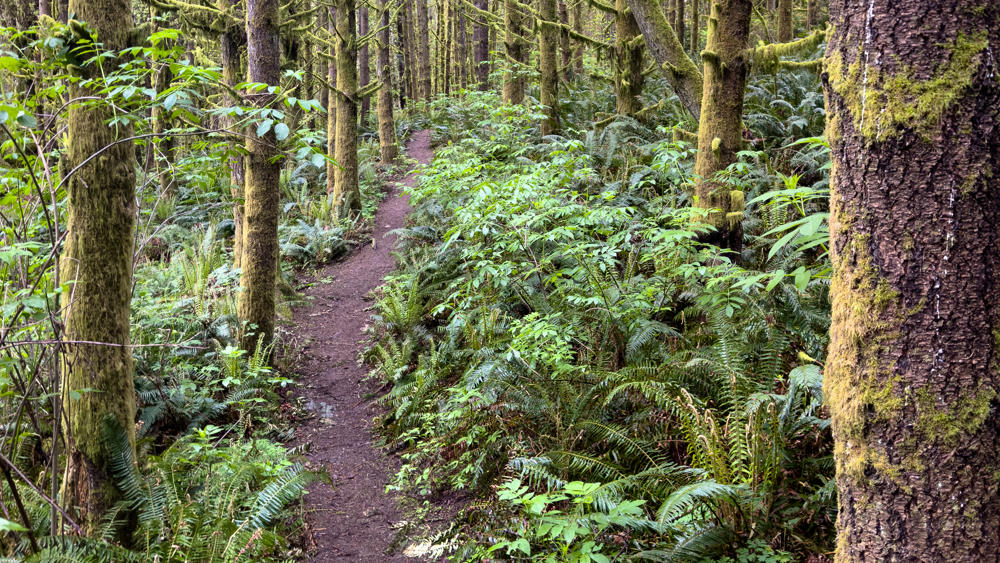 North Kitsap Solitude