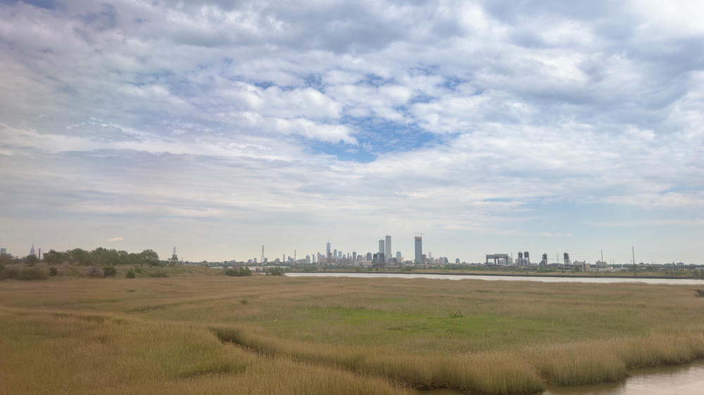 East Coast Part 2: Acela Train to New York