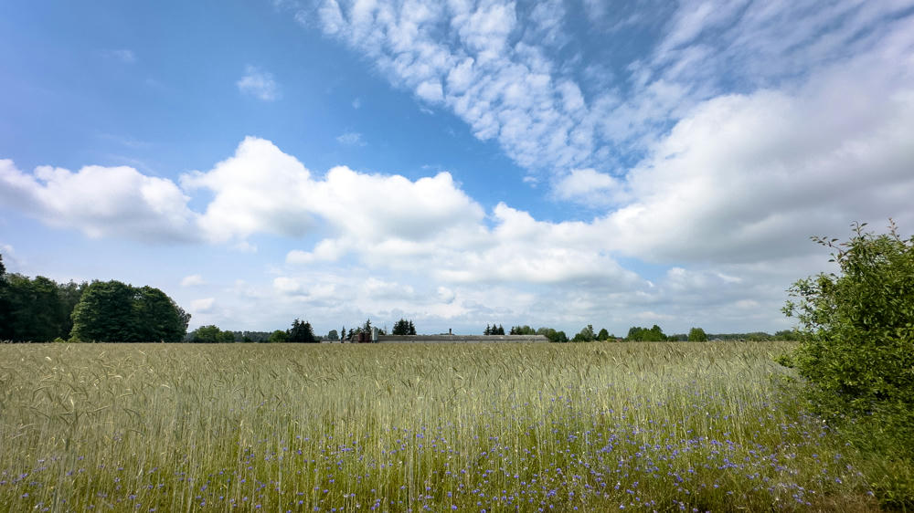 Europe Part 3: Polish Countryside and Berlin
