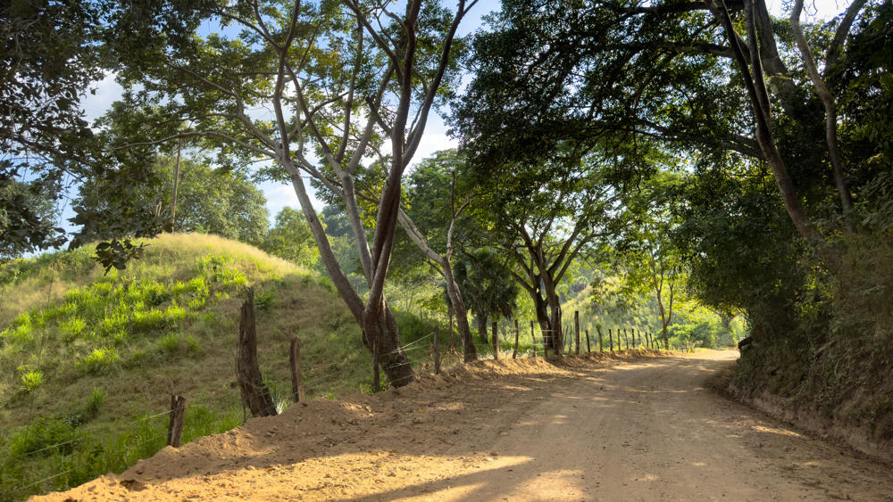 Mexico Part 2: Camino Viejo