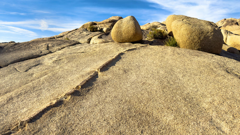 California Day 2: Joshua Tree North Loop