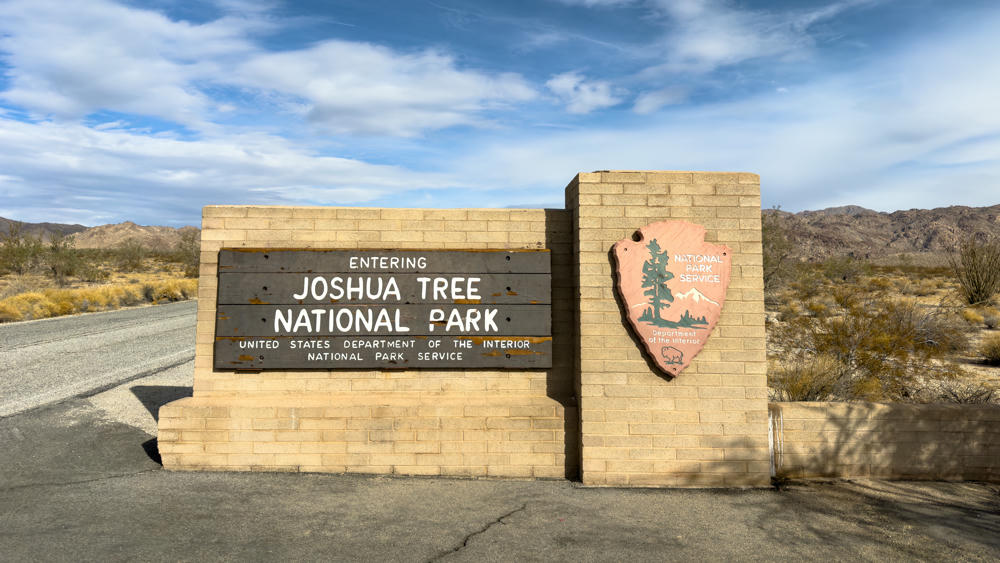 California Day 3: Joshua Tree and Points South