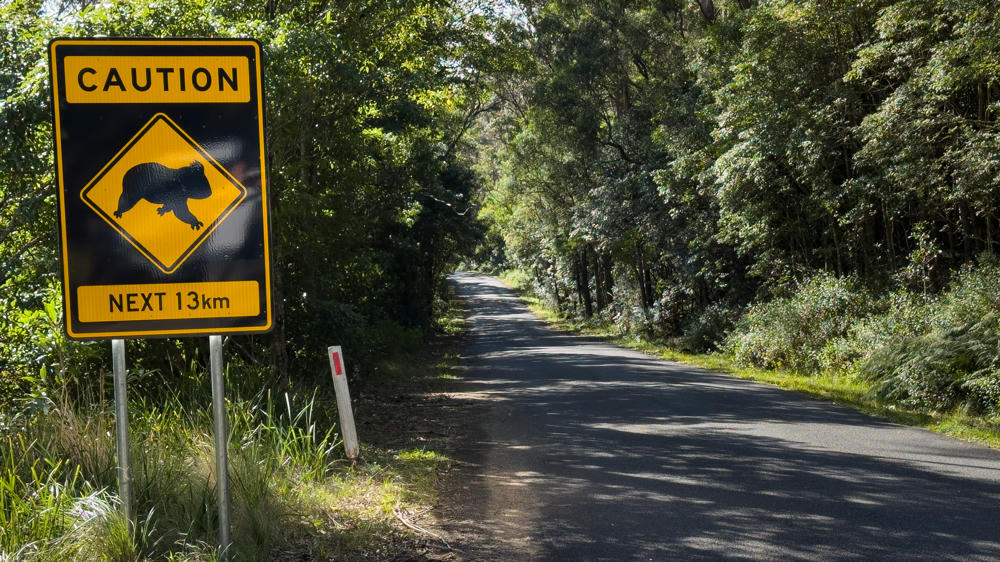 Australia Day 1: The Adventure Begins!