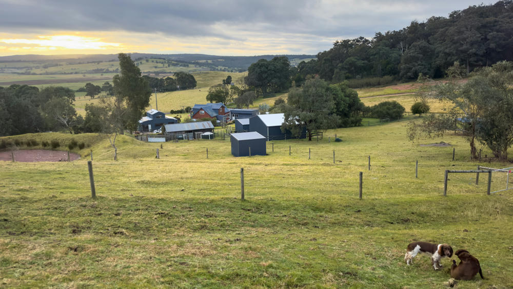 Australia Day 3: A Farm, Some Friends, and a Flight
