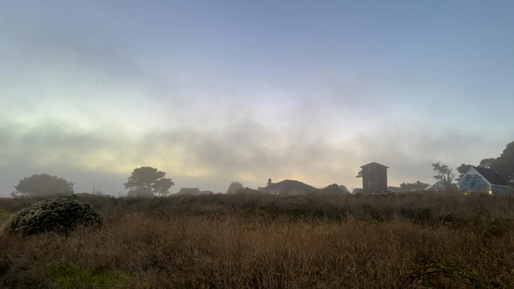 California Days 2 and 3: Mendocino Coast