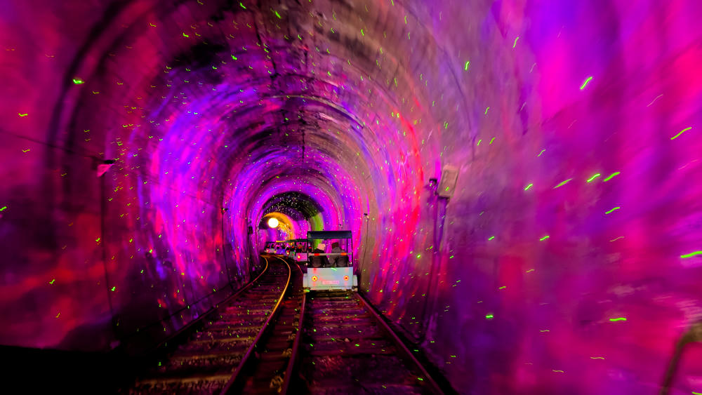 South Korea Day 2: Rail Bike, Nami Island, and a Lighted Garden