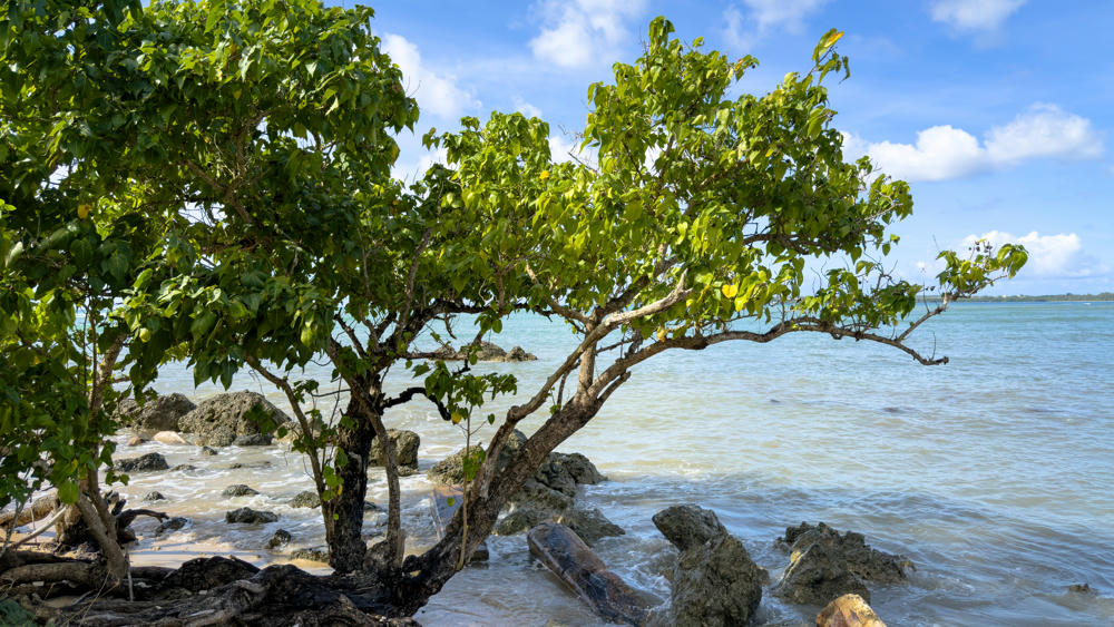 South Korea and Guam Day 4: Around the Island