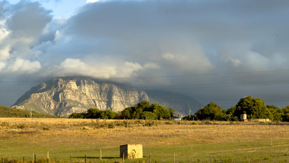 South Africa Day 3: Around Stellenbosch