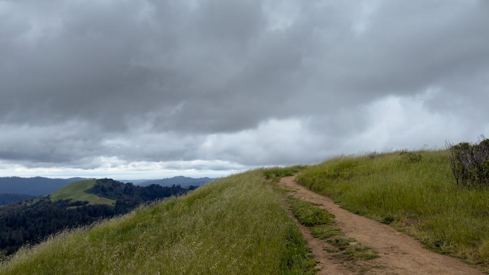 California Part 2: A Brief Cloudy Hike
