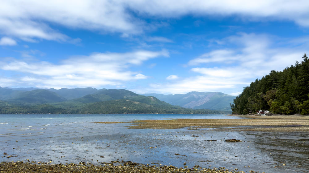 A wide tidal flat exposed at low tide along a calm cove, with shellfish-strewn gravel and mud in the foreground giving way to shallow water. Forested hills and mountains rise across the water under a partly cloudy sky, with a dense stand of evergreen trees and a small white house on the shoreline to the right.