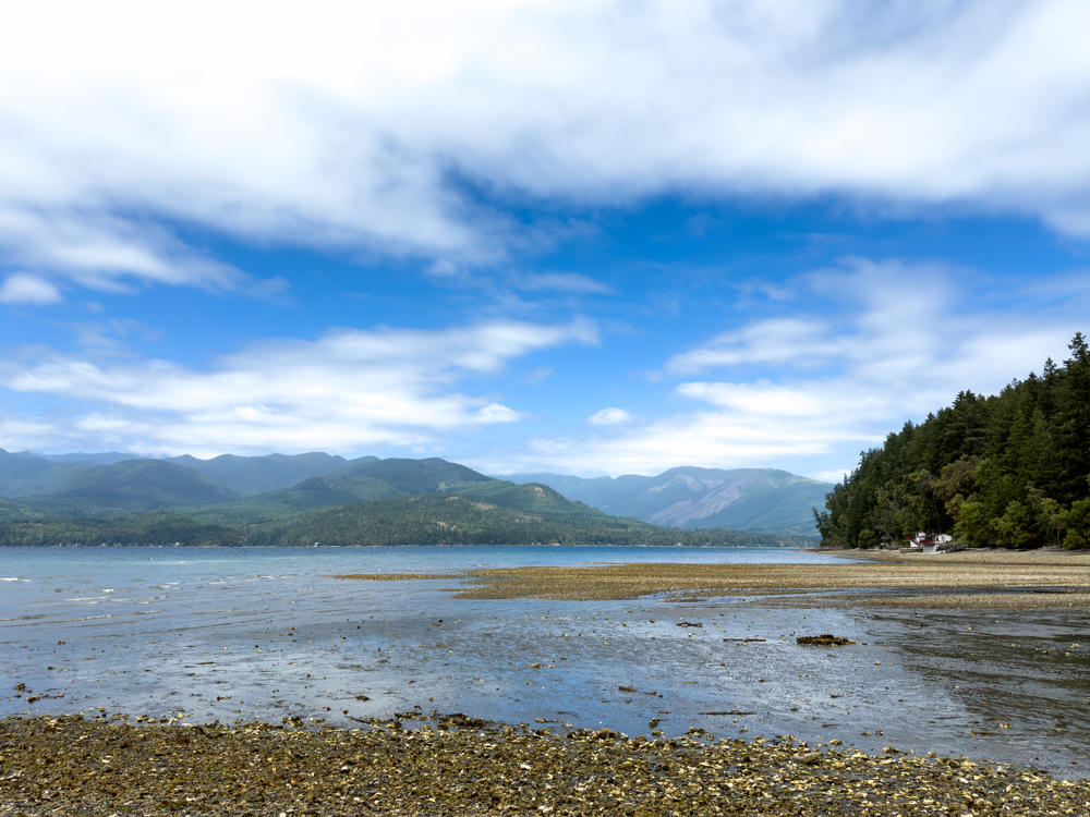 A wide tidal flat exposed at low tide along a calm cove, with shellfish-strewn gravel and mud in the foreground giving way to shallow water. Forested hills and mountains rise across the water under a partly cloudy sky, with a dense stand of evergreen trees and a small white house on the shoreline to the right.