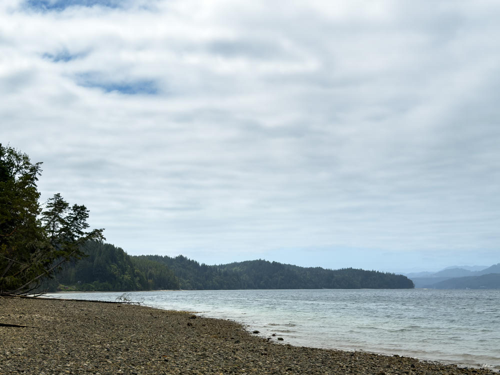 A pebbly shoreline curves toward calm gray water under an overcast sky at Guillemot Cove Nature Reserve, with evergreen trees and a fallen log on the left foreground and forested hills receding into the distance across the inlet.