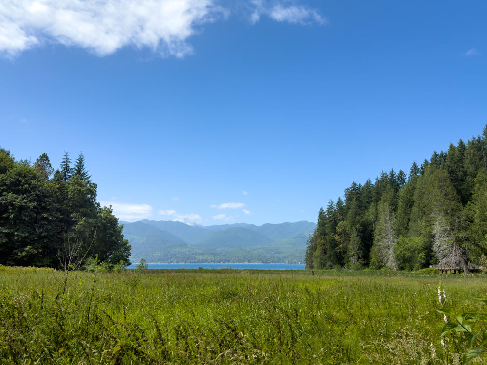 A grassy meadow with wildflowers stretches toward a calm body of water, framed by dense evergreen forests on both sides. Beyond the water, forested mountain ridges rise under a bright blue sky scattered with white clouds.