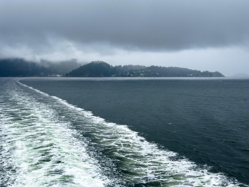 The churning white wake of a ferry trails across dark grey-green water toward a forested, low-lying coastline with scattered houses, all under a heavy overcast sky with clouds draping the hills.