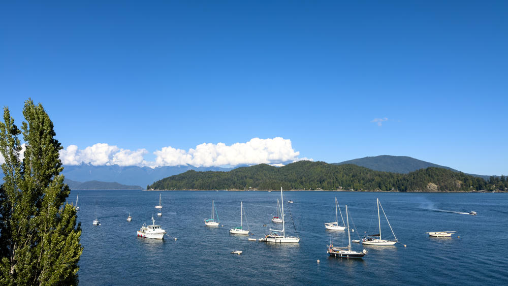 Sailboats and small vessels moored in a calm blue bay under a mostly clear sky, with forested hills and distant cloud-capped mountains across the water. A tall green tree frames the left edge of the frame.