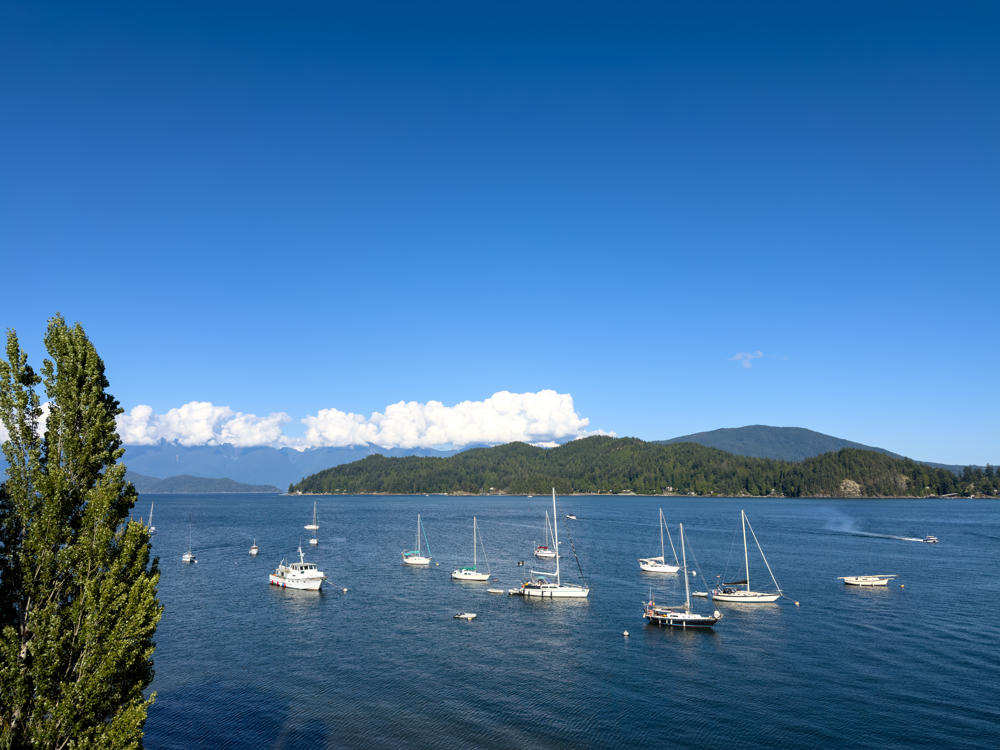Sailboats and small vessels moored in a calm blue bay under a mostly clear sky, with forested hills and distant cloud-capped mountains across the water. A tall green tree frames the left edge of the frame.