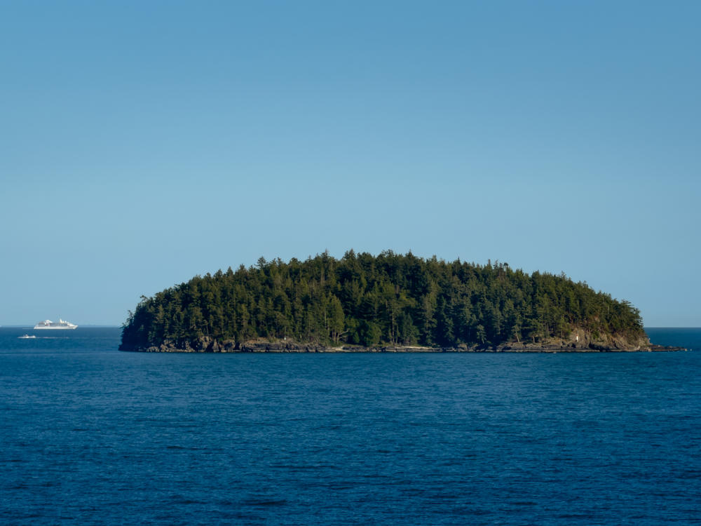 A small, densely forested island with rocky shores rises from calm blue water under a clear pale-blue sky, with a white cruise ship and a smaller boat passing in the distance to the left.