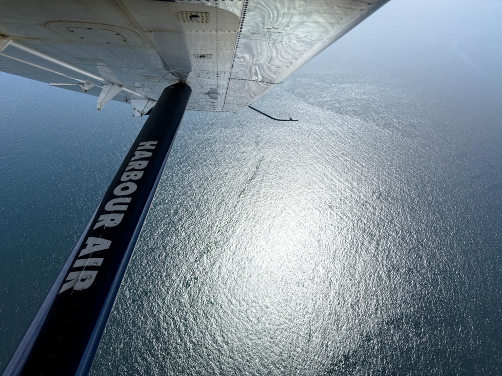 View from a floatplane in flight, looking out under the wing and diagonal support strut marked “HARBOUR AIR,” over sunlit, shimmering waters of the Salish Sea below.