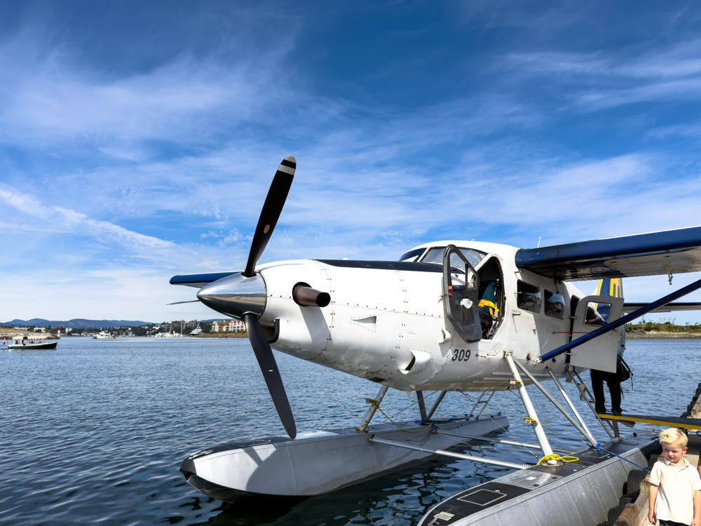 A white single-engine floatplane numbered 309 tied up at a harbour dock under a bright blue sky with wispy clouds, its black three-blade propeller and pontoons in clear view. A blond young boy in a light shirt stands at lower right, a person boards the plane behind it, and a small boat and distant waterfront buildings sit across the calm harbour water.