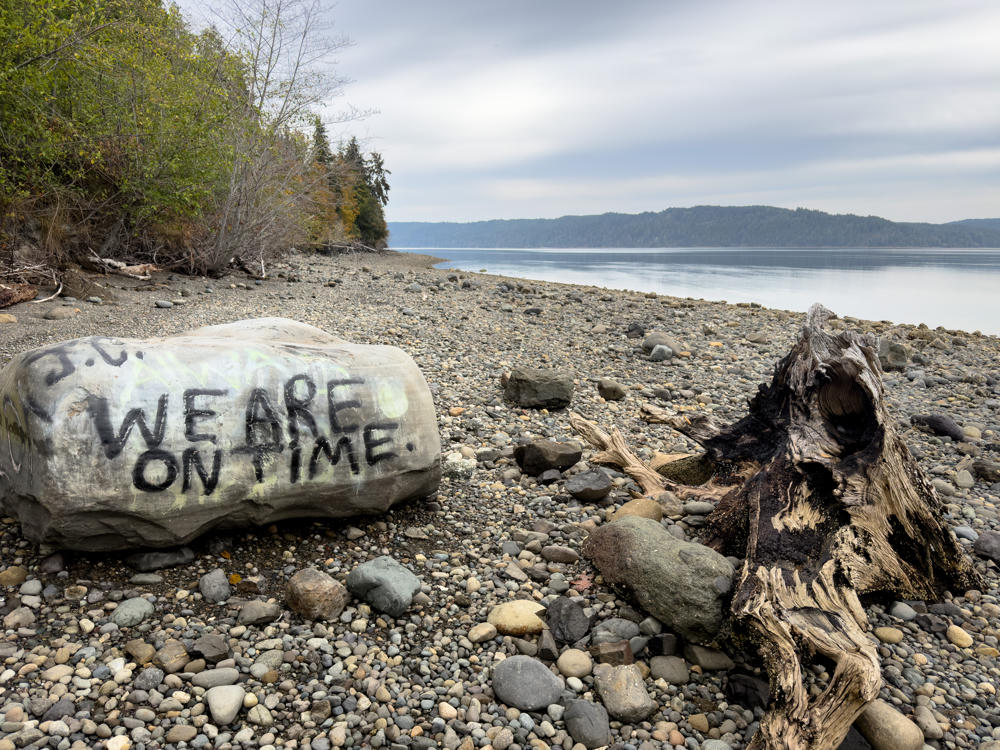 A pebbly beach along a calm inlet under an overcast sky, with a large boulder painted with black graffiti reading “WE ARE ON TIME.” A weathered driftwood stump and scattered rounded stones sit in the foreground, forested hills rise across the water, and trees line the shore at left.